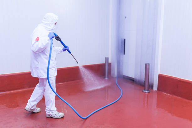 Best Pre-Holiday Cleaning  in Pea Ridge, FL