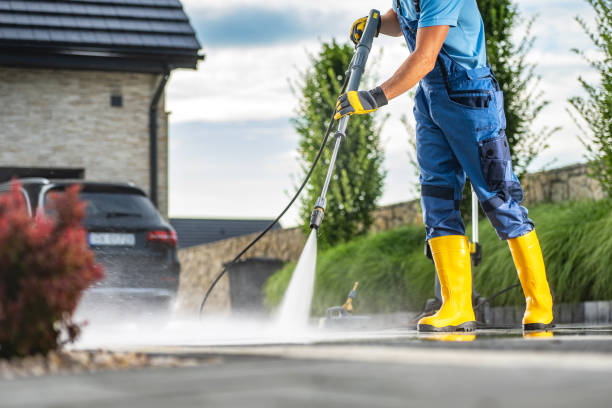 Professional Pressure Washing in Pea Ridge, FL